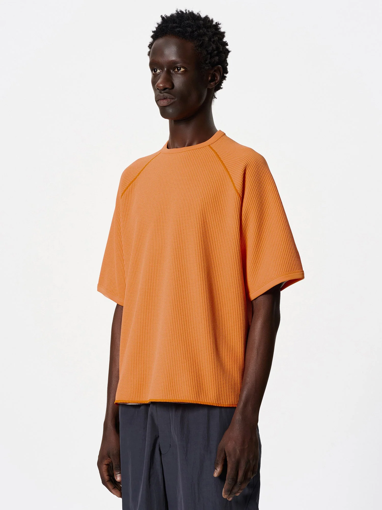 WF Light T-shirt - Image 5